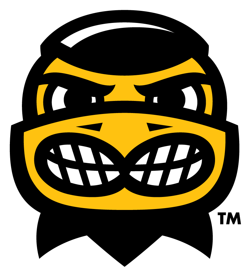 Iowa Hawkeyes 2013-Pres Mascot Logo v2 diy DTF decal sticker